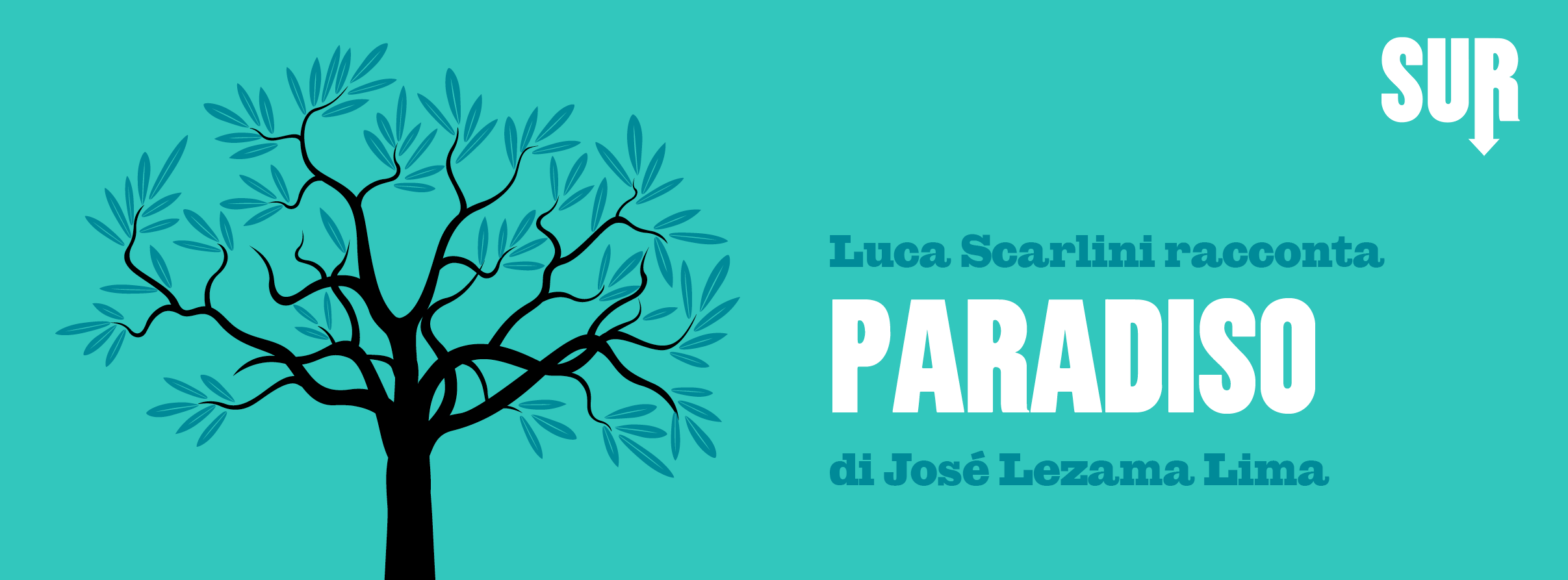 paradiso scarlini banner